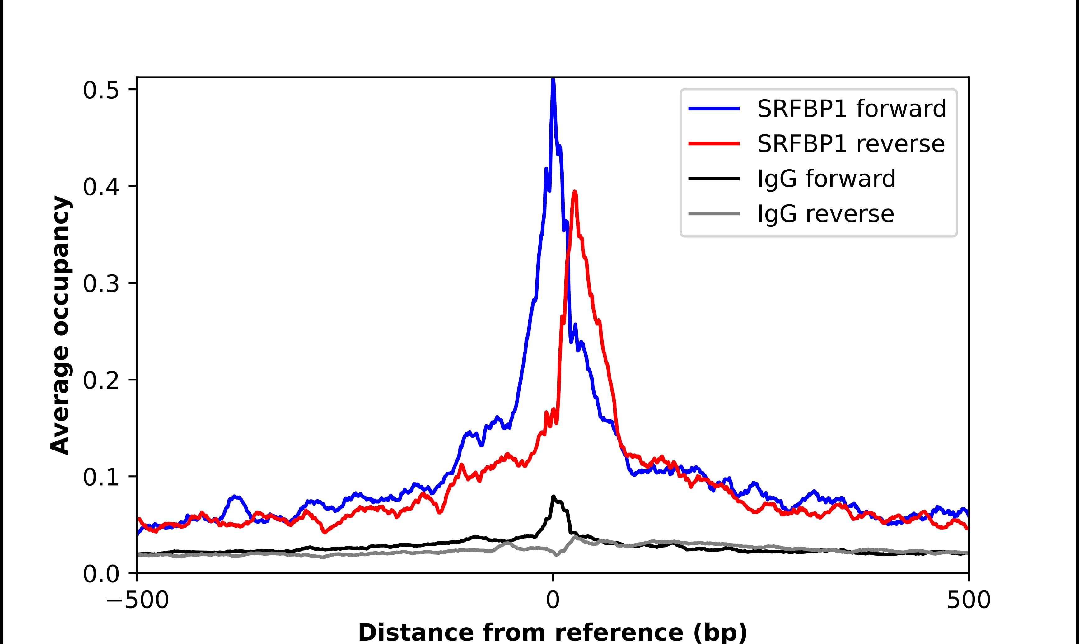 Chromatin Immunoprecipitation SRFBP1 Antibody - BSA Free
