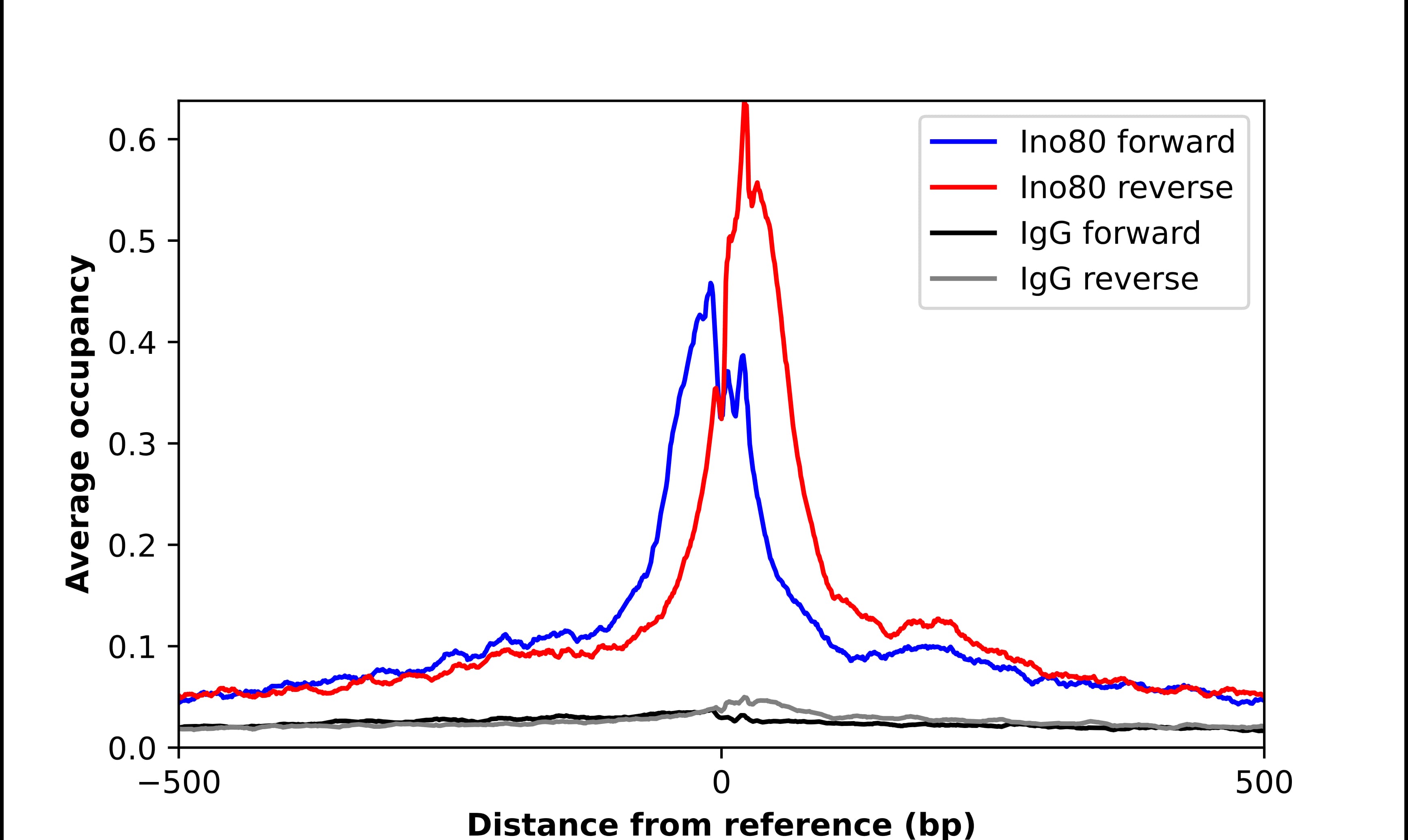 ChIP-Exo-Seq composite graph for Anti-INO80 (NBP2-58963) tested in K562 cells. Strand-specific reads (blue: forward, red: reverse) and IgG controls (black: forward, grey: reverse) are plotted against the distance from a composite set of reference binding sites. The antibody exhibits robust target enrichment compared to a non-specific IgG control and precisely reveals its structural organization around the binding site. Data generated by Prof. B. F. Pugh´s Lab at Cornell University.