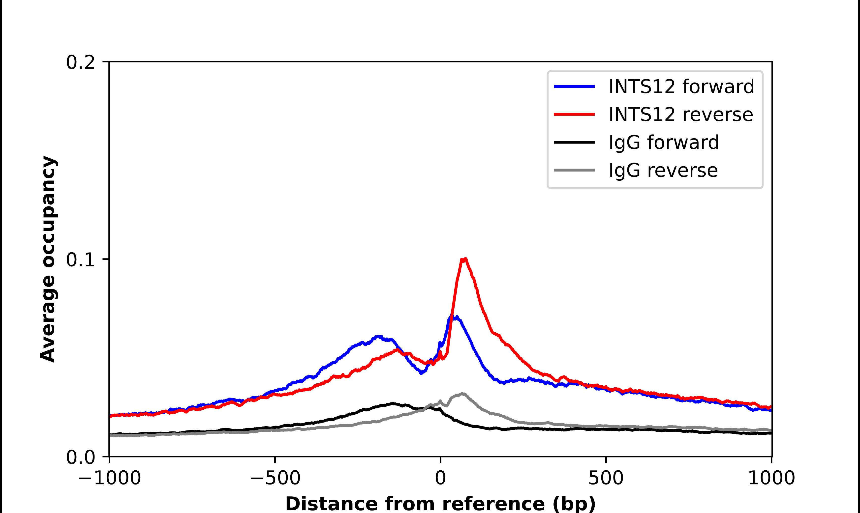 Chromatin Immunoprecipitation PHF22 Antibody - BSA Free