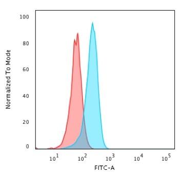 Flow Cytometric Analysis of HeLa cells using p53 Antibody (TP53/1799R) - Azide and BSA Free followed by goat anti-rabbit IgG-CF488 (blue); isotype control (red).