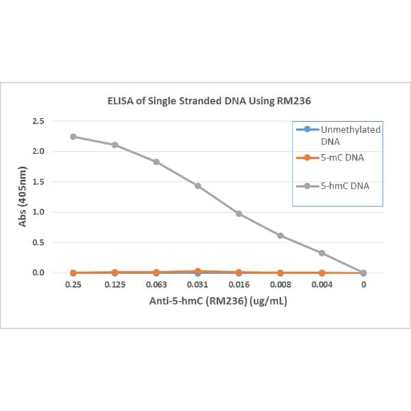 ELISA: 5-hmC Antibody (RM236) [NBP2-61469] - ELISA of single stranded DNA using Anti-5-hmC antibody (NBP2-61469). The plate was coated with streptavidin and then biotinylated single stranded unmethylated DNA, 5-Methylcytosine (5-mC) DNA, and 5-Hydroxymethylcytosine (5-hmC) DNA. A serial dilution of NBP2-61469 was used as the primary antibody, and an alkaline phosphatase conjugated Anti-Rabbit IgG as the secondary antibody.