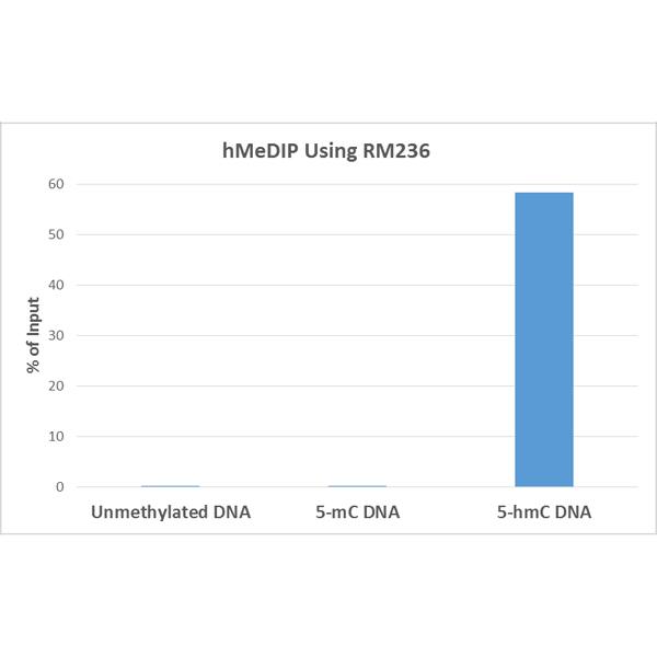 Methylated DNA Immunoprecipitation: 5-hmC Antibody (RM236) [NBP2-61469] - hMeDIP was performed using Anti-5-hmC antibody (NBP2-61469) at a 10:1 DNA: Ab ratio. 1 ng of unmethylated, 5-Methylcytosine (5-mC) or 5-Hydroxymethylcytosine (5-hmC) DNA standard (897 bp) was spiked in 1ug of genomic DNA isolated from HeLa cells as the control. Realtime PCR was then performed to determine the capture of DNA standard as in % of input.