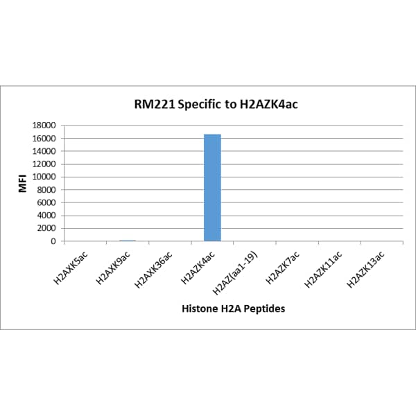 <b>Biological Strategies Validation. </b>Multiplex Immunoassay: Histone H2A.Z [ac Lys4] Antibody (RM221) - Azide and BSA Free [NBP2-61483] - RM221 specifically reacts to Histone H2A.Z acetylated at Lysine 4. No cross reactivity with non-modified Lysine 4 or other acetylated Lysines in histone H2A.