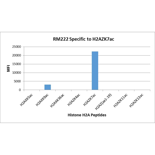 <b>Biological Strategies Validation. </b>Multiplex Immunoassay: Histone H2A.Z [ac Lys7] Antibody (RM222) - Azide and BSA Free [NBP2-61484] - RM222 specifically reacts to Histone H2A.Z acetylated at Lysine 7. No cross reactivity with non-modified Lysine 7 or other acetylated Lysines in histone H2A.