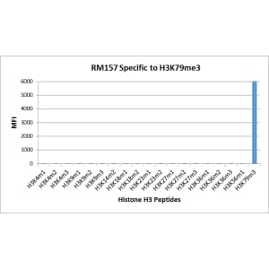 Multiplex Immunoassay: Histone H3 [Trimethyl Lys79] Antibody (RM157) - Azide and BSA Free [NBP2-61508] - RM157 specifically reacts to Histone H3 trimethylated at Lysine 79 (K79me3). No cross reactivity with other methylated lysines in Histone H3.