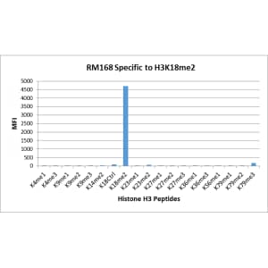 Multiplex Immunoassay: Histone H3 [Dimethyl Lys18] Antibody (RM168) - Azide and BSA Free [NBP2-61514] - RM168 specifically reacts to Histone H3 dimethylated at Lysine 18 (K18me2). No cross reactivity with other methylated lysines in Histone H3.