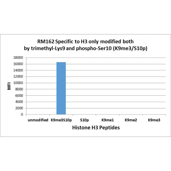Multiplex Immunoassay: Histone H3 [Trimethyl Lys9, p Ser10] Antibody (RM162) - Azide and BSA Free [NBP2-61522] - RM162 specifically reacts to Histone H3 only when modified at both trimethyl-lysine 9 and phospho-serine 10 (K9me3/S10p). No cross reactivity with non-modified Lysine 9/ Serine 10, methylated Lysine 9 (K9me1, k9me2, k9me3) ONLY, or phosphorylated Serine 10 ONLY, in Histone H3.