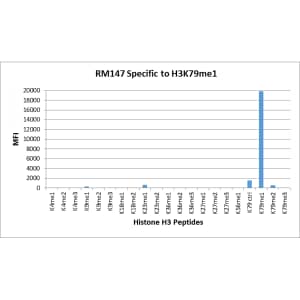 Multiplex Immunoassay: Histone H3 [Monomethyl Lys79] Antibody (RM147) - Azide and BSA Free [NBP2-61531] - RM147 specifically reacts to Histone H3 monomethylated at Lysine 79. No cross reactivity with dimethylated Lysine 79 or trimethylated Lysine 79, or other methylations in histone H3.