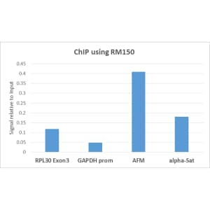 Chromatin Immunoprecipitation: Histone H3 [Monomethyl Lys9] Antibody (RM150) - Azide and BSA Free [NBP2-61535] - ChIP performed on HeLa cells using Clone RM150 (5ug). Real-time PCR was performed using primers specific to the gene indicated.