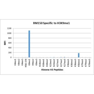 Multiplex Immunoassay: Histone H3 [Monomethyl Lys9] Antibody (RM150) - Azide and BSA Free [NBP2-61535] - RM150 specifically reacts to Histone H3 monomethylated at Lysine 9 (K9me1). No cross reactivity with non-modified Lysine 9, dimethylated Lysine 9 (K9me2), trimethylated Lysine 4 (K9me3), or other methylations in histone H3.