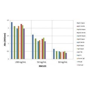 ELISA: Kappa Light Chain Antibody (RM103) [Biotin] [NBP2-62003B] - ELISA of mouse immunoglobulins shows RM103 reacts to the kappa light chain of mouse immunoglobulins. No cross reactivity with the lamda light chain, human IgG, rat IgG, or goat IgG. The plate was coated with 50 ng/well of different immunoglobulins. 200 ng/mL, 50 ng/mL, or 10 ng/mL of RM103 was used as the primary antibody. An alkaline phosphatase conjugated anti-rabbit IgG as the secondary antibody.