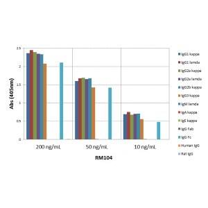 ELISA: IgG Antibody (RM104) [Biotin] [NBP2-62005B] - ELISA of mouse immunoglobulins shows NBP2-62005B reacts to the Fc region of mouse IgG1, IgG2a, IgG2b, and IgG3; no cross reactivity with IgM, IgA, IgE, human or rat IgG. The plate was coated with different immunoglobulins. NBP2-62005B was used as the primary antibody. An alkaline phosphatase conjugated anti-rabbit IgG as the secondary antibody.