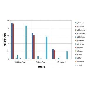 ELISA: IgG1 Antibody (RM106) [Biotin] [NBP2-62006B] - ELISA of mouse immunoglobulins shows NBP2-62006B reacts to the Fc region of mouse IgG1; no cross reactivity with IgG2a, IgG3, IgM, IgA, IgE, human IgG, or rat IgG. The plate was coated with different immunoglobulins.NBP2-62006B was used as the primary antibody. An alkaline phosphatase conjugated anti-rabbit IgG as the secondary antibody.