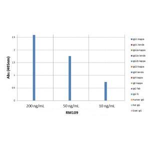 ELISA: IgM Antibody (RM109) - Azide and BSA Free [NBP2-62012B] - ELISA of mouse immunoglobulins shows RM109 reacts to mouse IgM; no cross reactivity with IgG1, IgG2a, IgG2b, IgG3, IgA, IgE, human IgG, rat IgG, or goat IgG. The plate was coated with 50 ng/well of different immunoglobulins. 200 ng/mL, 50 ng/mL, or 10 ng/mL of RM109 was used as the primary antibody. An alkaline phosphatase conjugated anti-rabbit IgG as the secondary antibody.
