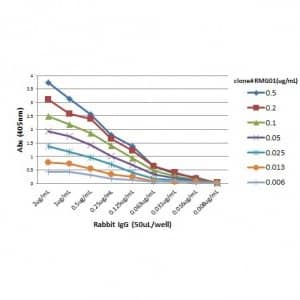 ELISA: IgG F(ab) Antibody (RMG01) - Azide and BSA Free [NBP2-62014B] - A titer ELISA of rabbit IgG. The plate was coated with different amounts of rabbit IgG. A serial dilution of RMG01 was used as the primary antibody. An alkaline phosphatase conjugated anti-goat IgG as the secondary antibody.