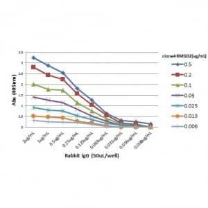 ELISA: IgG Fc Antibody (RMG02) - Azide and BSA Free [NBP2-62015B] - A titer ELISA of rabbit IgG. The plate was coated with different amounts of rabbit IgG. A serial dilution of RMG02 was used as the primary antibody. An alkaline phosphatase conjugated anti-goat IgG as the secondary antibody.