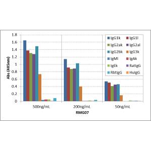 ELISA: IgG Antibody (RMG07) - Azide and BSA Free [NBP2-62018B] - ELISA of mouse immunoglobulins shows RMG07 reacts to mouse IgG1, IgG2a, IgG2b, and IgG3; no cross reactivity with IgM, IgA, IgE, human IgG, rat IgG, and rabbit IgG. The plate was coated with 50 ng/well of different immunoglobulins. 500 ng/mL, 200 ng/mL, or 50 ng/mL of RMG07 was used as the primary antibody. An alkaline phosphatase conjugated anti-goat IgG as the secondary antibody.