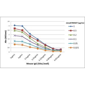 ELISA: IgG Antibody (RMG07) - Azide and BSA Free [NBP2-62018B] - A titer ELISA of mouse IgG. The plate was coated with different amounts of mouse IgG. A serial dilution of RMG07 was used as the primary antibody. An alkaline phosphatase conjugated anti-goat IgG as the secondary antibody.