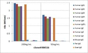 ELISA: IgG Heavy Chain Antibody (RM116) [NBP2-62019] - ELISA of human immunoglobulins shows RM116 reacts to the gamma 1, gamma 2, gamma 3, gamma 4 heavy chains of human IgGs, and the Fc of human IgG. No cross reactivity with other human heavy chains, mouse IgG, rat IgG, or goat IgG. The plate was coated with 50 ng/well of different immunoglobulins. 200 ng/mL or 50 ng/mL of RM116 was used as the primary antibody. An alkaline phosphatase conjugated anti-rabbit IgG as the secondary antibody.