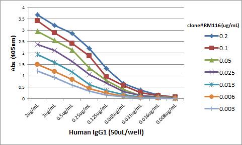 ELISA: IgG Heavy Chain Antibody (RM116) [Biotin] [NBP2-62019B] - A titer ELISA using NBP2-62019B. The plate was coated with different amounts of human IgG1. A serial dilution of NBP2-62019B was used as the primary antibody. An alkaline phosphatase conjugated anti-rabbit IgG as the secondary antibody.