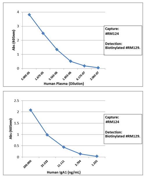 Sandwich ELISA: IgA1 Antibody (RM124) - Azide and BSA Free [NBP2-62024] - Sandwich ELISA using RM124 as the capture antibody (100ng/well), and NBP3-18532 as the detection antibody, followed by an alkaline phosphatase conjugated streptavidin.