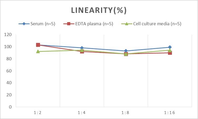 ELISA Human Cathepsin S ELISA Kit (Colorimetric)