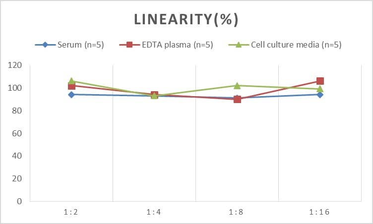 ELISA: Human Tau ELISA Kit (Chemiluminescence) [NBP2-62772] - Samples were spiked with high concentrations of Human Tau and diluted with Reference Standard & Sample Diluent to produce samples with values within the range of the assay.