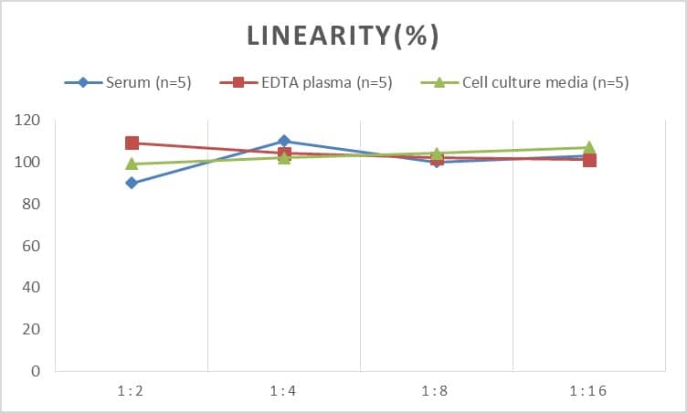 ELISA: Human S100A9 ELISA Kit (Chemiluminescence) [NBP2-62855] - Samples were spiked with high concentrations of Human S100A9 and diluted with Reference Standard & Sample Diluent to produce samples with values within the range of the assay.