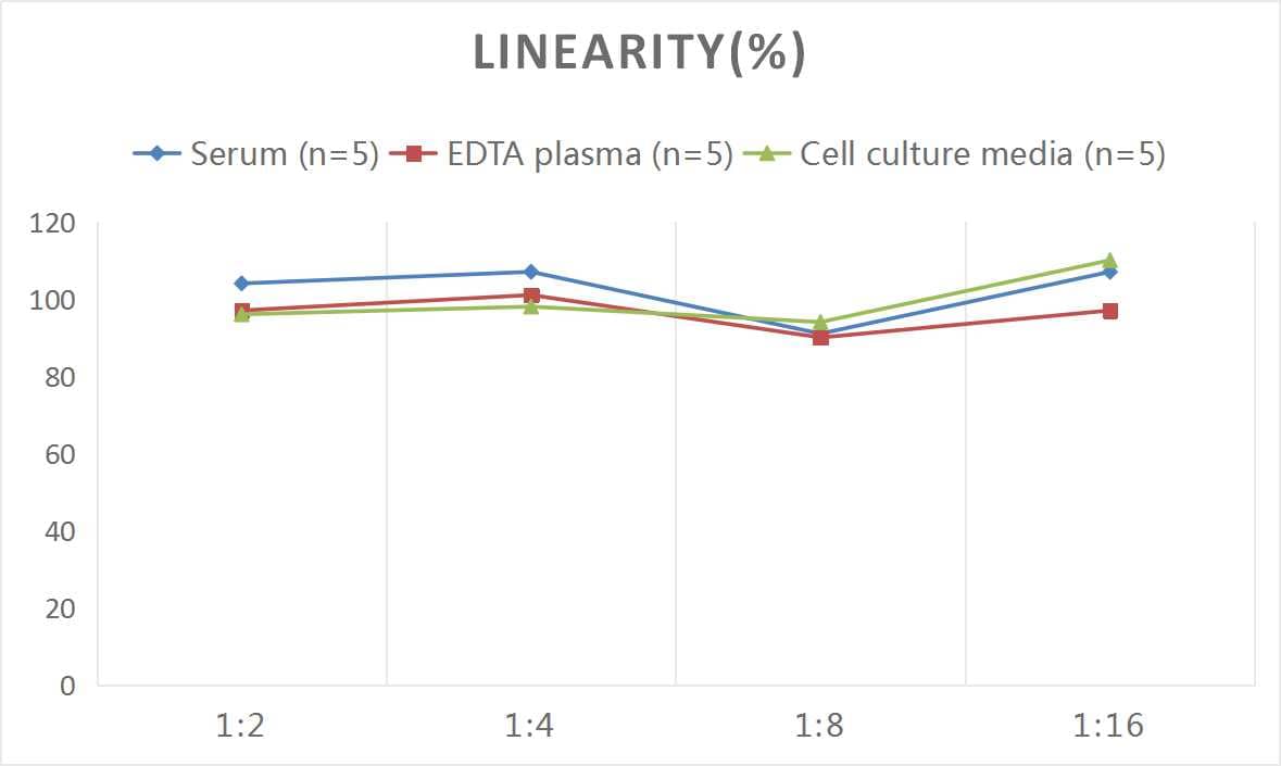 ELISA: Mouse Angiopoietin-1 ELISA Kit (Chemiluminescence) [NBP2-62857] - Samples were spiked with high concentrations of Mouse Angiopoietin-1 and diluted with Reference Standard & Sample Diluent to produce samples with values within the range of the assay.