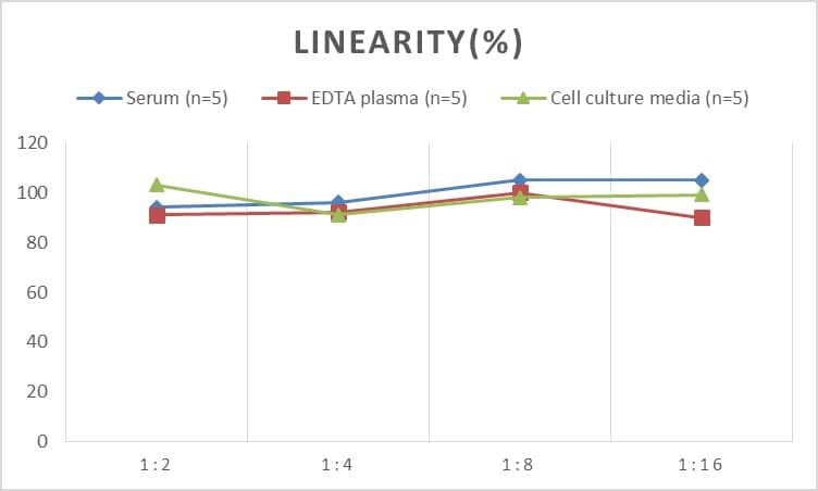 ELISA Human 12-Lipoxygenase ELISA Kit (Chemiluminescence)