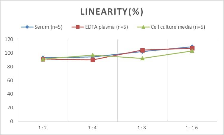 ELISA: Human 15-Lipoxygenase 1 ELISA Kit (Chemiluminescence) [NBP2-64615] - Samples were spiked with high concentrations of Human 15-Lipoxygenase 1 and diluted with Reference Standard & Sample Diluent to produce samples with values within the range of the assay.