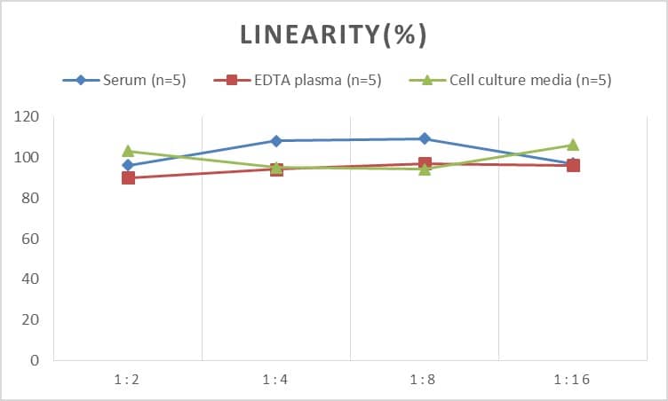 ELISA Human 26S Proteasome ELISA Kit (Chemiluminescence)