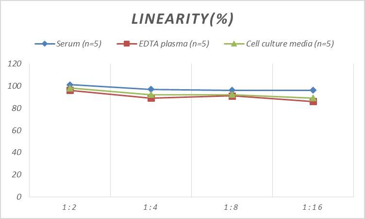 ELISA Human ABCC5 ELISA Kit (Colorimetric)