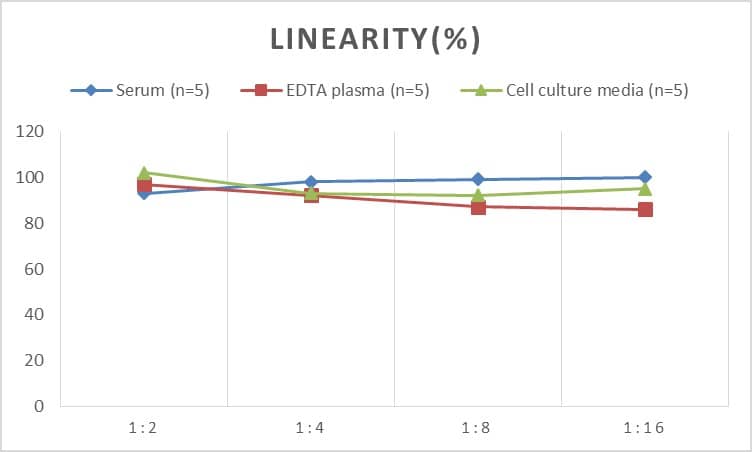 ELISA: Human ACD ELISA Kit (Colorimetric) [NBP2-66386] - Samples were spiked with high concentrations of Human ACD and diluted with Reference Standard & Sample Diluent to produce samples with values within the range of the assay.