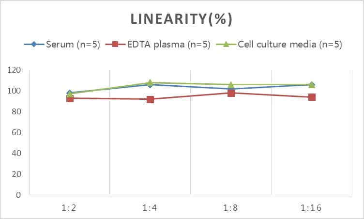 ELISA: Human ACE-2 ELISA Kit (Chemiluminescence) [NBP2-66387] - Samples were spiked with high concentrations of Human ACE-2 and diluted with Reference Standard & Sample Diluent to produce samples with values within the range of the assay.