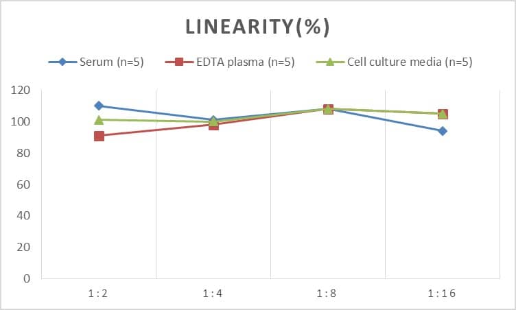 ELISA: Human Acetylcholinesterase/ACHE ELISA Kit (Chemiluminescence) [NBP2-66390] - Samples were spiked with high concentrations of Human Acetylcholinesterase/ACHE and diluted with Reference Standard & Sample Diluent to produce samples with values within the range of the assay.