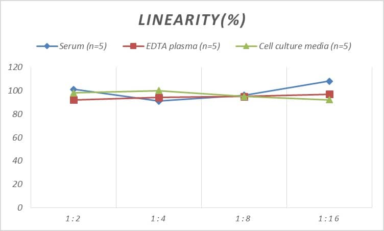 ELISA: Rat Acetylcholinesterase/ACHE ELISA Kit (Chemiluminescence) [NBP2-66391] - Samples were spiked with high concentrations of Rat Acetylcholinesterase/ACHE and diluted with Reference Standard & Sample Diluent to produce samples with values within the range of the assay.