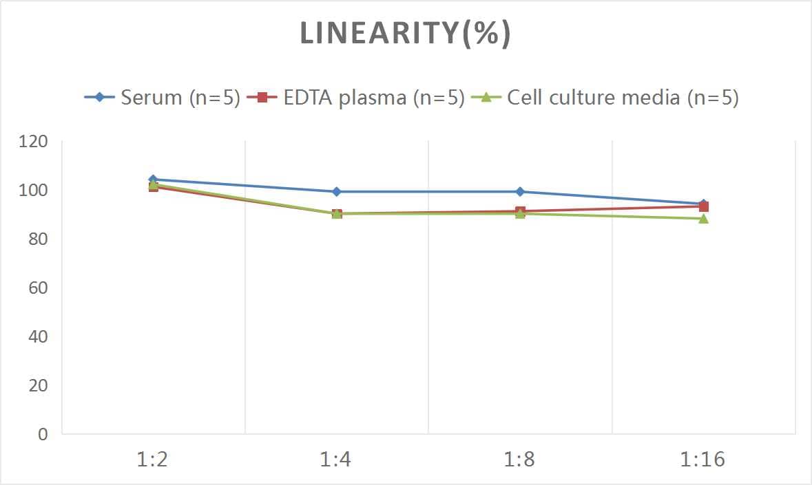 ELISA: Mouse Acetylcholinesterase/ACHE ELISA Kit (Colorimetric) [NBP2-66392] - Samples were spiked with high concentrations of Mouse Acetylcholinesterase/ACHE and diluted with Reference Standard & Sample Diluent to produce samples with values within the range of the assay.