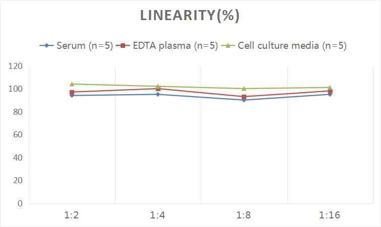 ELISA: Human ACTH ELISA Kit (Colorimetric) [NBP2-66401] - Samples were spiked with high concentrations of Human ACTH and diluted with Reference Standard & Sample Diluent to produce samples with values within the range of the assay.