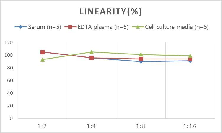 ELISA: Monkey ACTH ELISA Kit (Colorimetric) [NBP2-66414] - Samples were spiked with high concentrations of Monkey ACTH and diluted with Reference Standard & Sample Diluent to produce samples with values within the range of the assay.