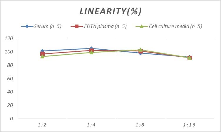 ELISA: Human Alpha Actinin 2 ELISA Kit (Chemiluminescence) [NBP2-66417] - Samples were spiked with high concentrations of Human Alpha Actinin 2 and diluted with Reference Standard & Sample Diluent to produce samples with values within the range of the assay.