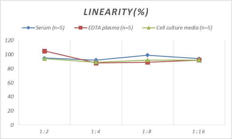 ELISA Mouse Alpha Actinin 2 ELISA Kit (Colorimetric)