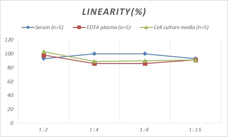 ELISA: Rat Alpha Actinin 2 ELISA Kit (Colorimetric) [NBP2-66419] - Samples were spiked with high concentrations of Rat Alpha Actinin 2 and diluted with Reference Standard & Sample Diluent to produce samples with values within the range of the assay.