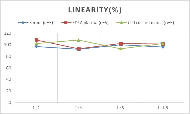 ELISA Human Actin ELISA Kit (Chemiluminescence)