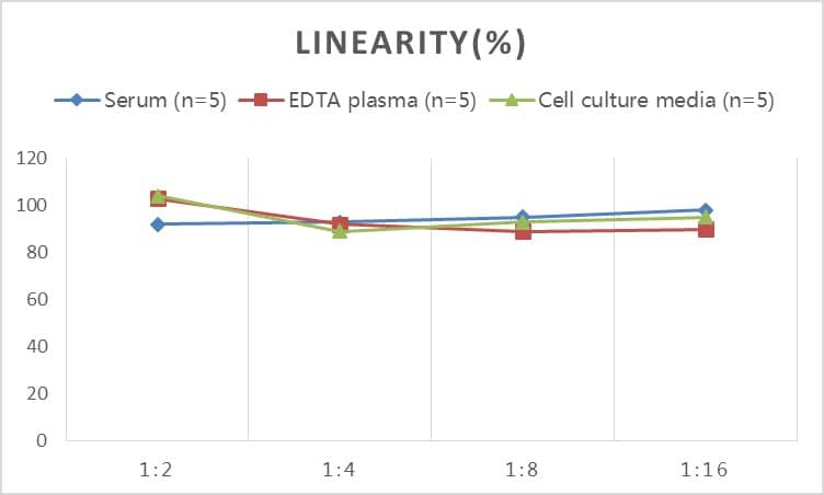 ELISA: Rat alpha-Smooth Muscle Actin ELISA Kit (Colorimetric) [NBP2-66430] - Samples were spiked with high concentrations of Rat alpha-Smooth Muscle Actin and diluted with Reference Standard & Sample Diluent to produce samples with values within the range of the assay.