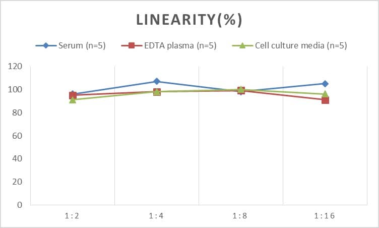 ELISA Human Adenosine Deaminase/ADA ELISA Kit (Chemiluminescence)