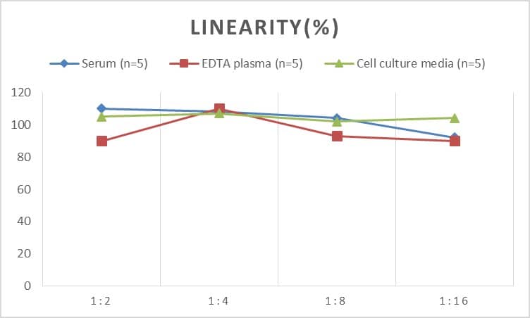 ELISA: Human ADAM10 ELISA Kit (Chemiluminescence) [NBP2-66435] - Samples were spiked with high concentrations of Human ADAM10 and diluted with Reference Standard & Sample Diluent to produce samples with values within the range of the assay.