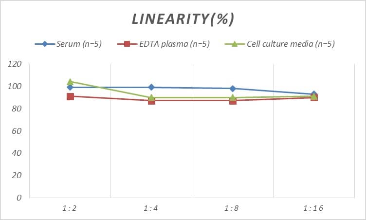 ELISA: Human ADAM22 ELISA Kit (Colorimetric) [NBP2-66436] - Samples were spiked with high concentrations of Human ADAM22 and diluted with Reference Standard & Sample Diluent to produce samples with values within the range of the assay.