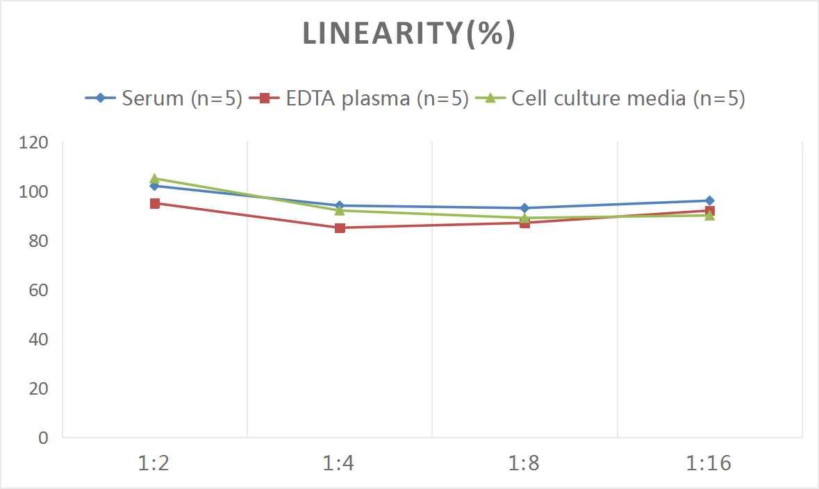 ELISA Human ADAM33 ELISA Kit (Colorimetric)