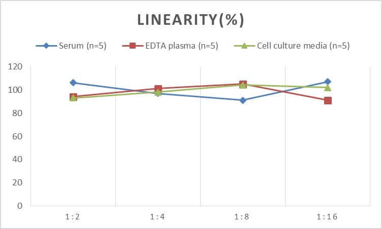 ELISA: Human ADAM9 ELISA Kit (Chemiluminescence) [NBP2-66439] - Samples were spiked with high concentrations of Human ADAM9 and diluted with Reference Standard & Sample Diluent to produce samples with values within the range of the assay.